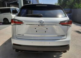 LEXUS NX200T Rear View